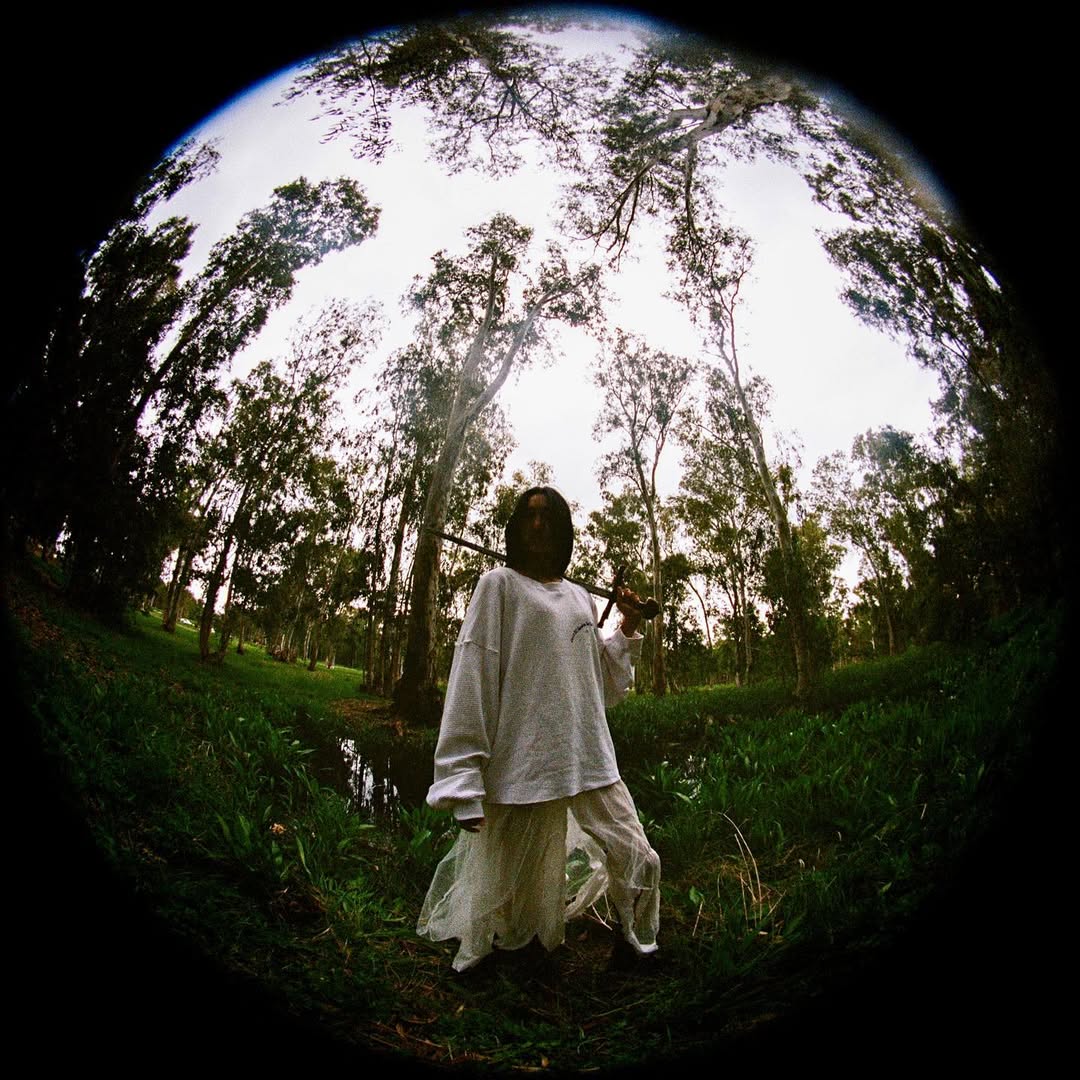 Image 7